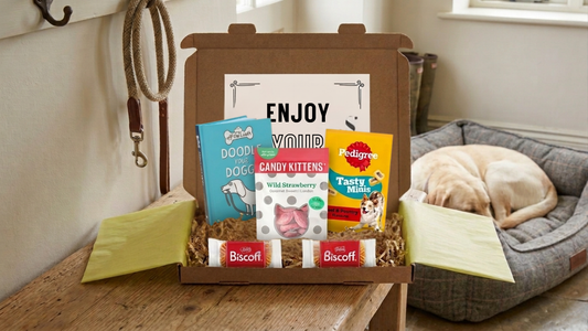 Dog Lover Letterbox Gift